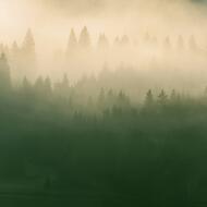 Photo de Philipp / Unsplash