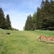 Paysage de Merlet